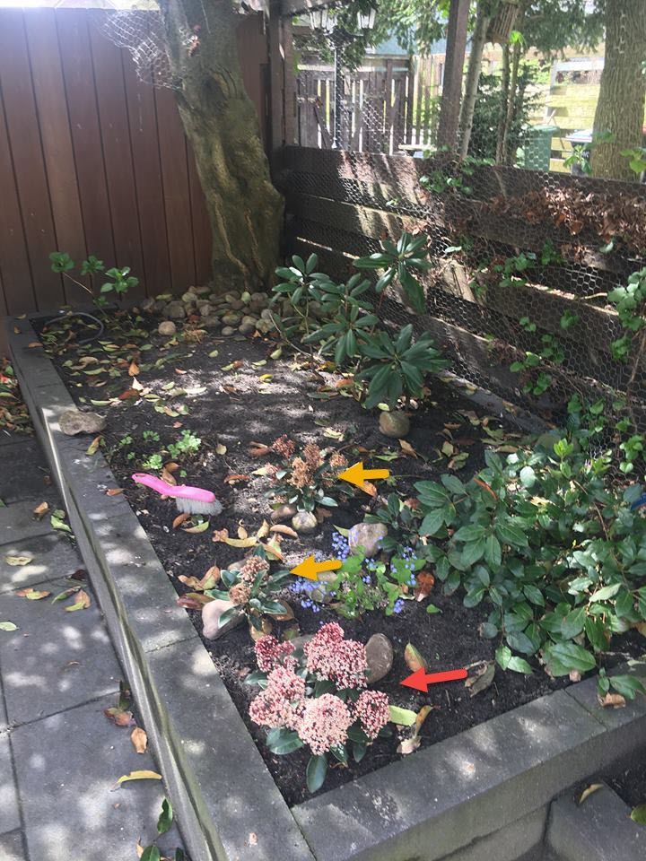 30703705_10155225173166021_7838786327083483136_n.jpg 30703705_10155225173166021_7838786327083483136_n.jpg