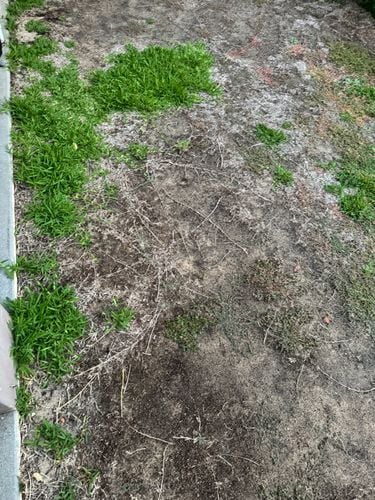 IMG_7656.jpeg IMG_7656.jpeg