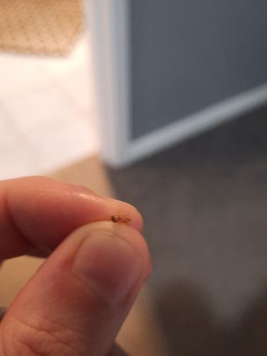 20211101_071051.jpg 20211101_071051.jpg