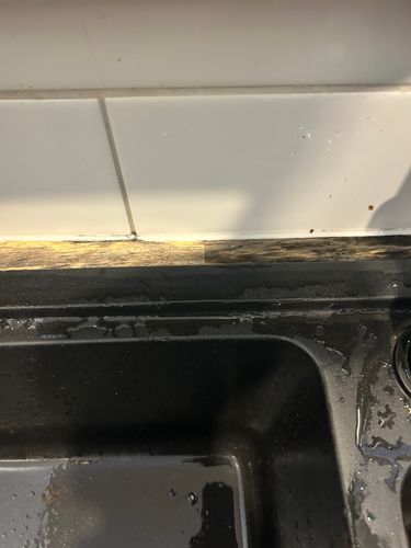 IMG_5462.jpeg IMG_5462.jpeg