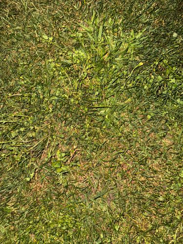 IMG_7920.jpeg IMG_7920.jpeg