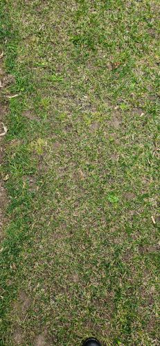 1000324404.jpg 1000324404.jpg