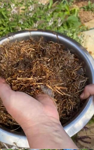 B7C5A3F7-48D6-4F08-B11B-14FF8212099E.jpeg B7C5A3F7-48D6-4F08-B11B-14FF8212099E.jpeg