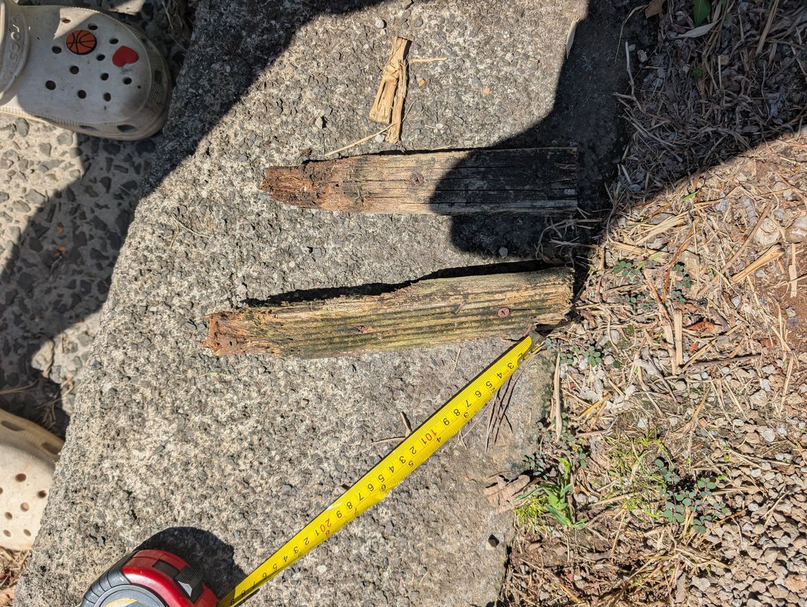 PXL_20250313_005225433.jpg PXL_20250313_005225433.jpg