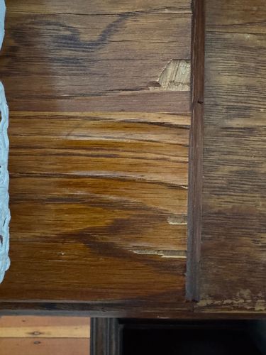 IMG_0648.jpeg IMG_0648.jpeg