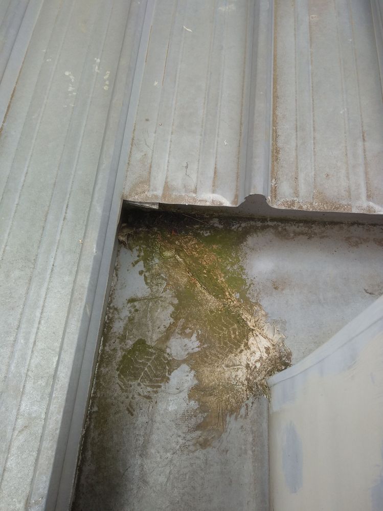 IMG_20220409_111019591.jpg IMG_20220409_111019591.jpg