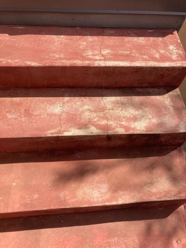 IMG_1021.jpeg IMG_1021.jpeg