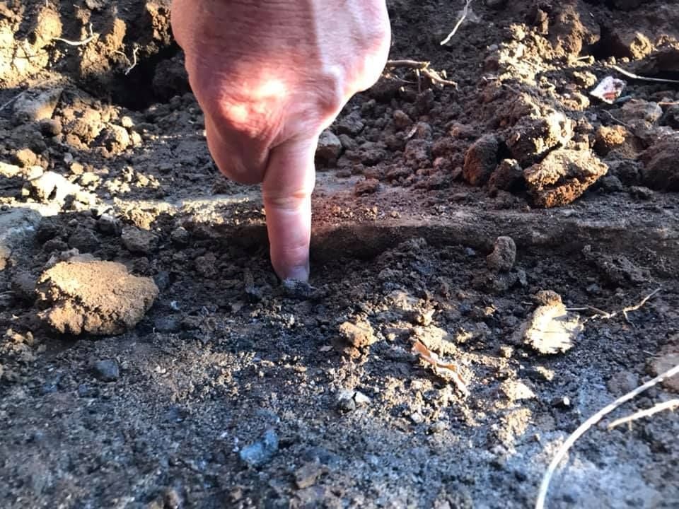 06 22-07-2021.jpg 06 22-07-2021.jpg