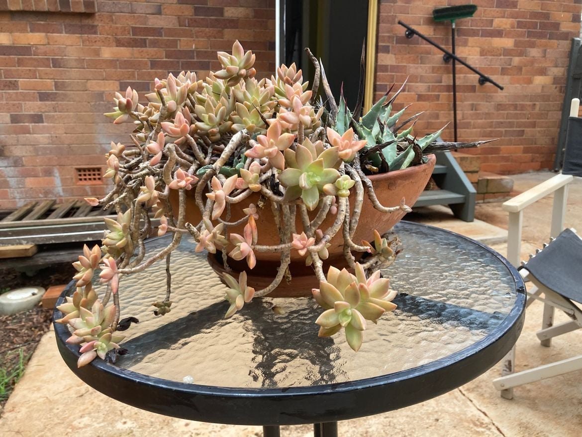 IMG_1428.jpeg IMG_1428.jpeg