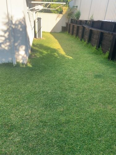 IMG_0051.jpeg IMG_0051.jpeg