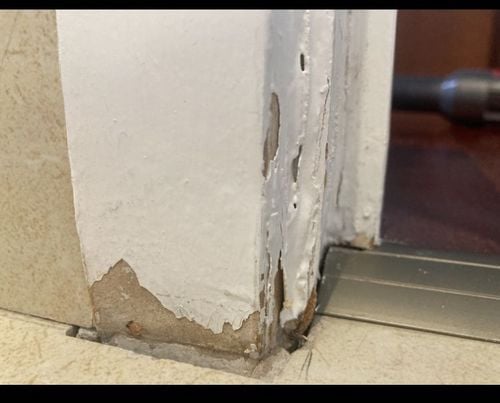 IMG_9229.jpeg IMG_9229.jpeg