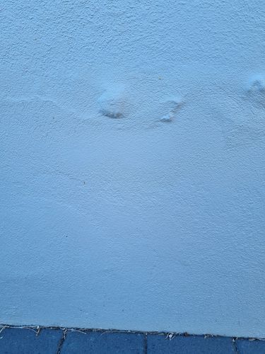 20220424_094712.jpg 20220424_094712.jpg