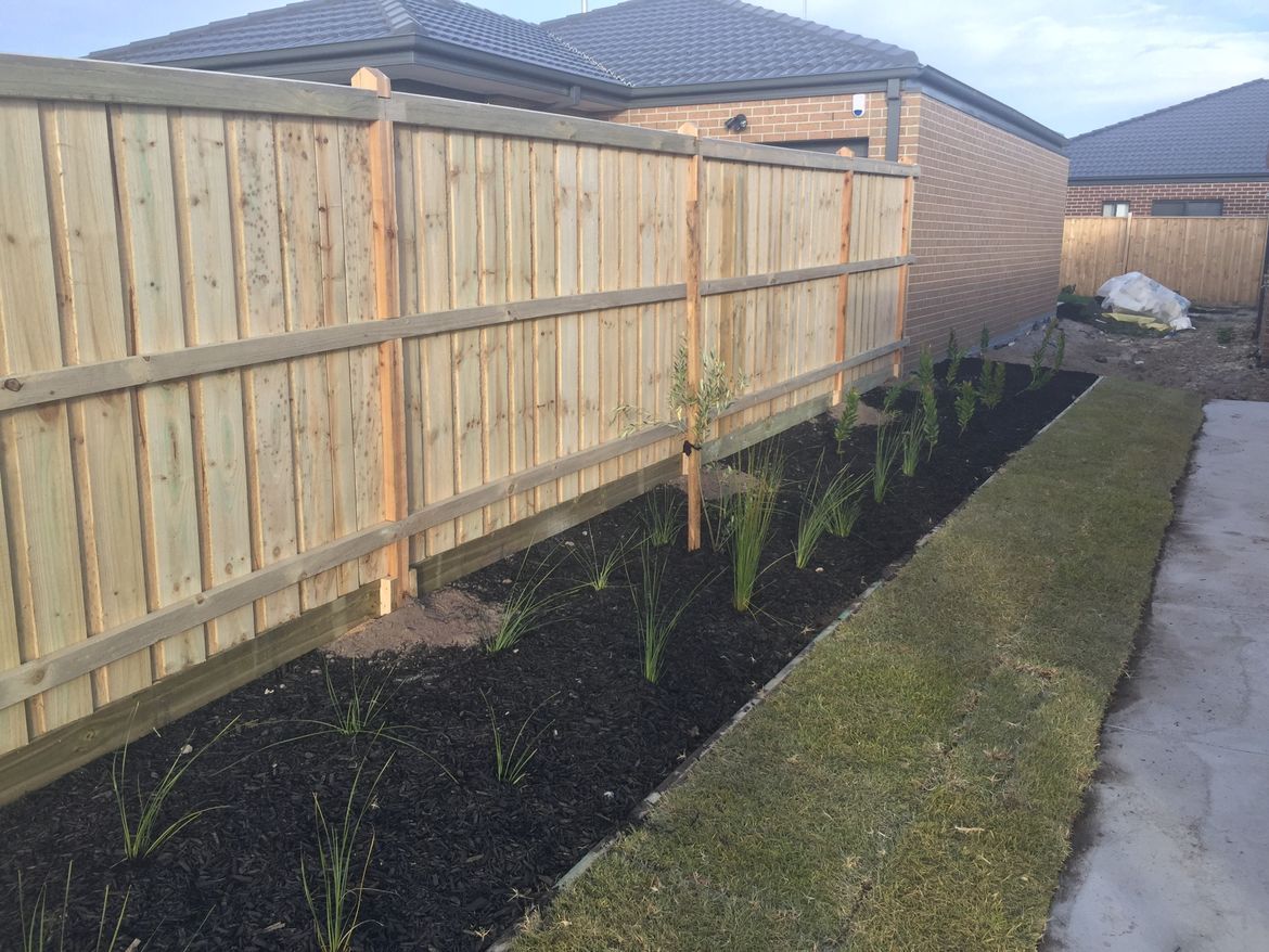 backyard-1.jpeg backyard-1.jpeg