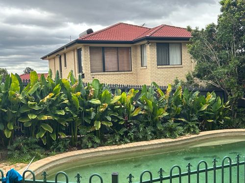 IMG_4907.jpeg IMG_4907.jpeg