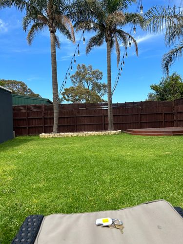 IMG_0522.jpeg IMG_0522.jpeg