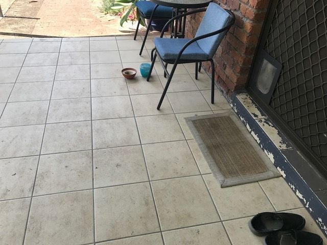 IMG_0463.JPG IMG_0463.JPG