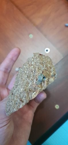 16908496408932819225195392415860.jpg 16908496408932819225195392415860.jpg