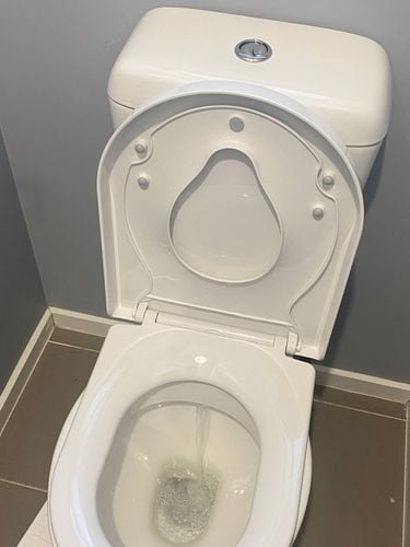 IMG_1164.jpeg IMG_1164.jpeg