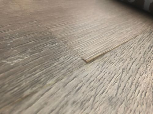 21696E55-D5AB-46FC-9037-508A1343713B.jpeg 21696E55-D5AB-46FC-9037-508A1343713B.jpeg