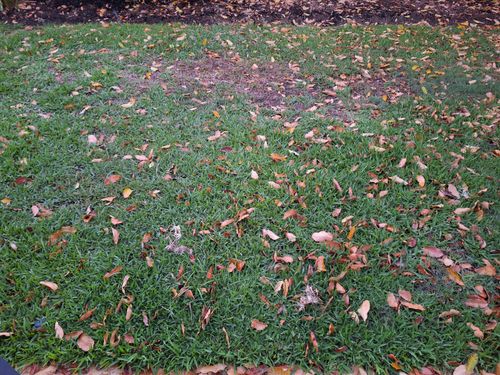 1000004171.jpg 1000004171.jpg