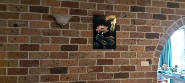 285577304_10224878960653807_4569648062803529803_n.jpg 285577304_10224878960653807_4569648062803529803_n.jpg