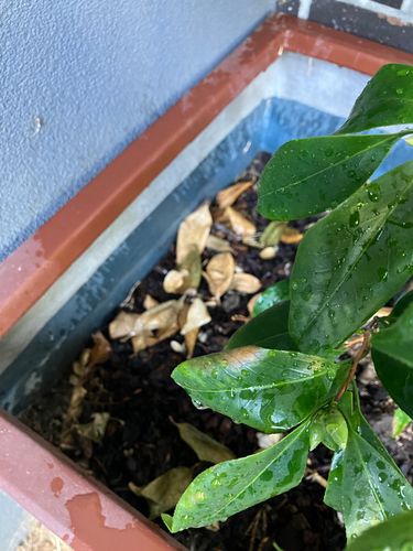 IMG_3408.jpeg IMG_3408.jpeg