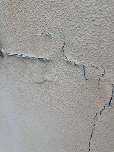 IMG_3128.jpeg IMG_3128.jpeg