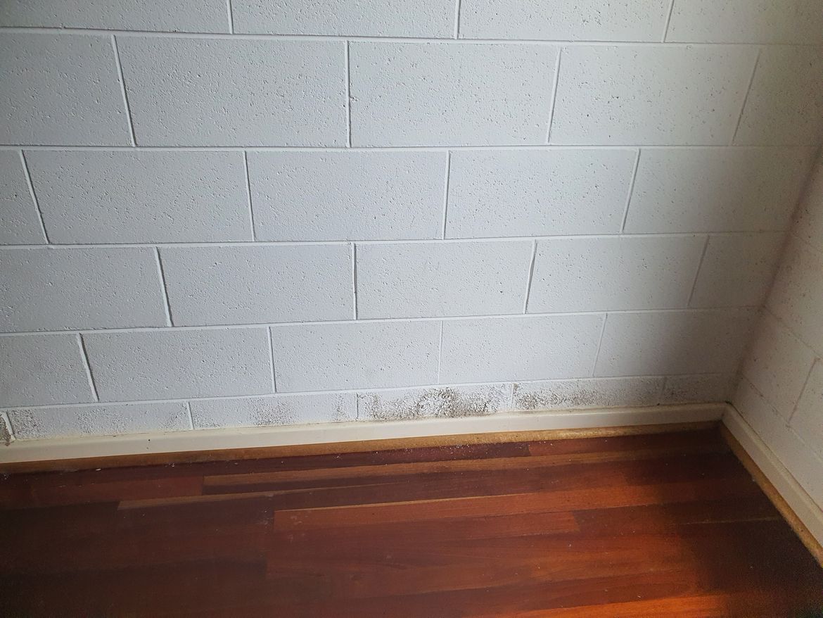 20241108_102419.jpg 20241108_102419.jpg