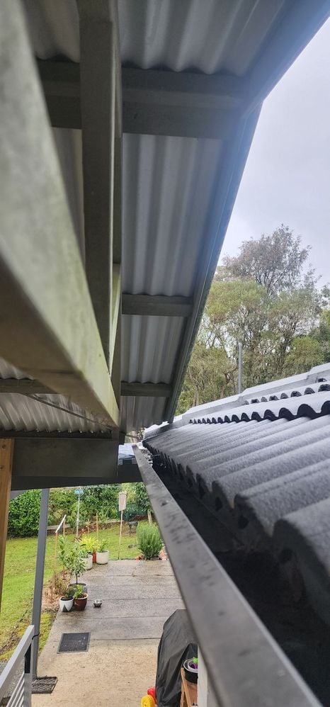 20250701_115829.jpg 20250701_115829.jpg