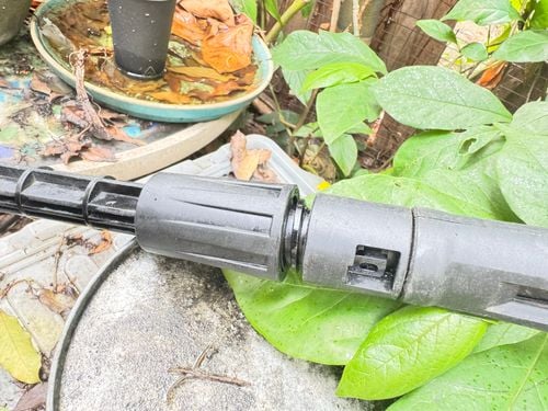 IMG_5472.jpeg IMG_5472.jpeg