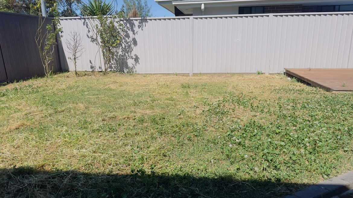 IMG-4967.jpg IMG-4967.jpg