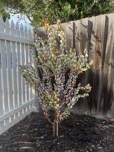 IMG_1908.jpeg IMG_1908.jpeg