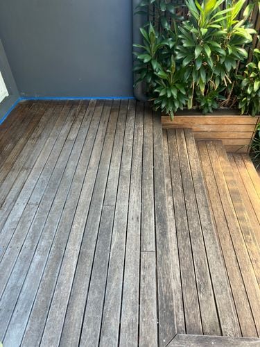 IMG_5320.jpeg IMG_5320.jpeg