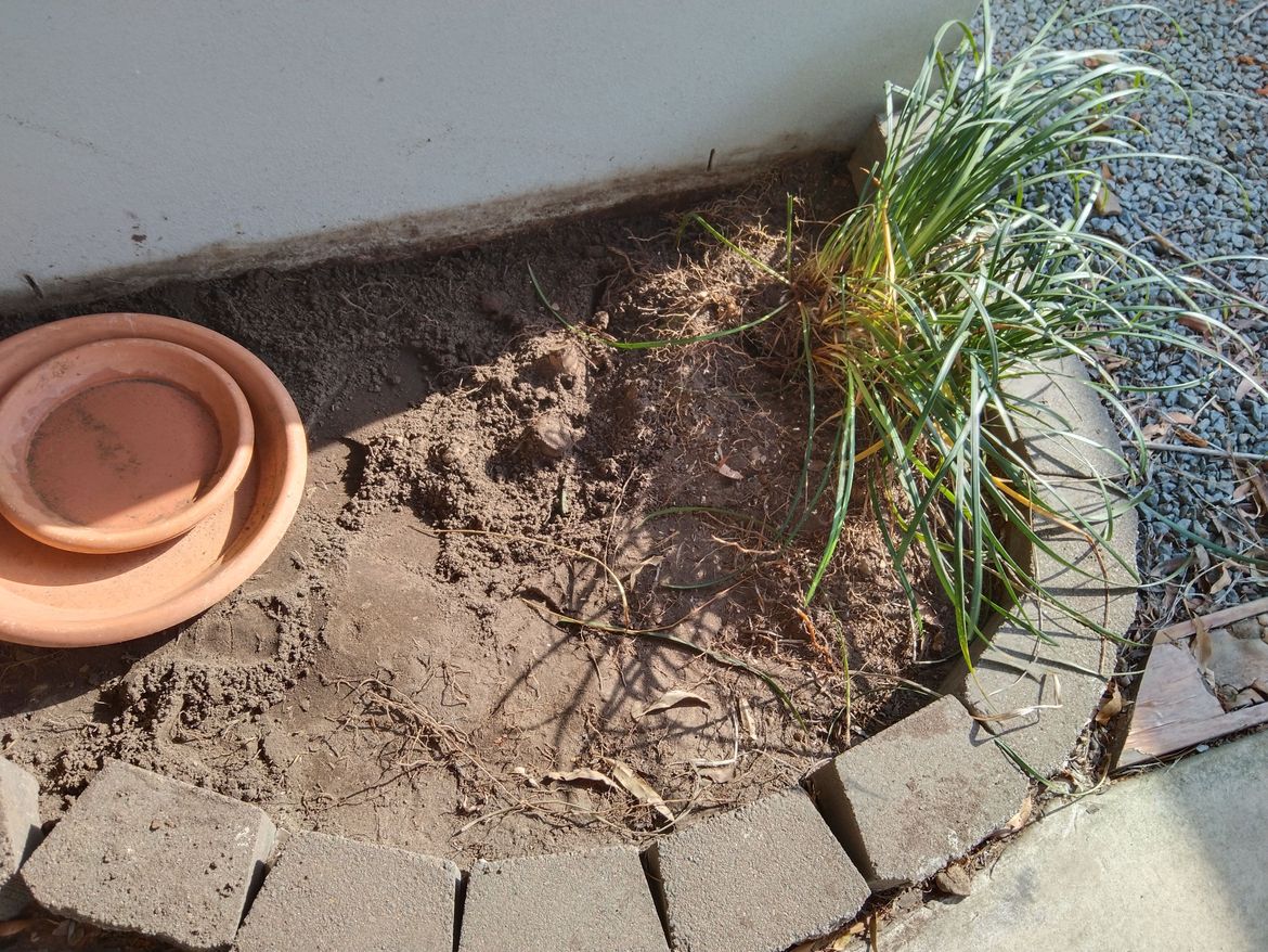 IMG_20241110_155514.jpg IMG_20241110_155514.jpg