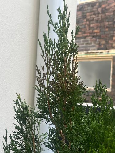 IMG_2967.jpeg IMG_2967.jpeg