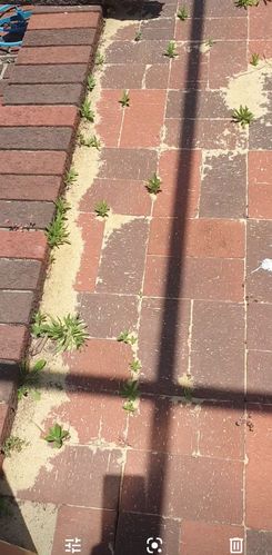 SmartSelect_20221130-124114_Photos.jpg SmartSelect_20221130-124114_Photos.jpg