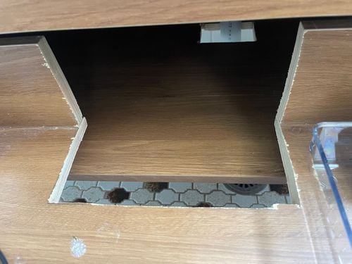 IMG_0230.jpeg IMG_0230.jpeg