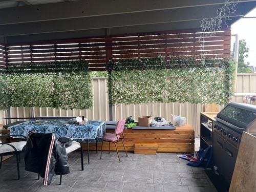 IMG_4318.jpeg IMG_4318.jpeg