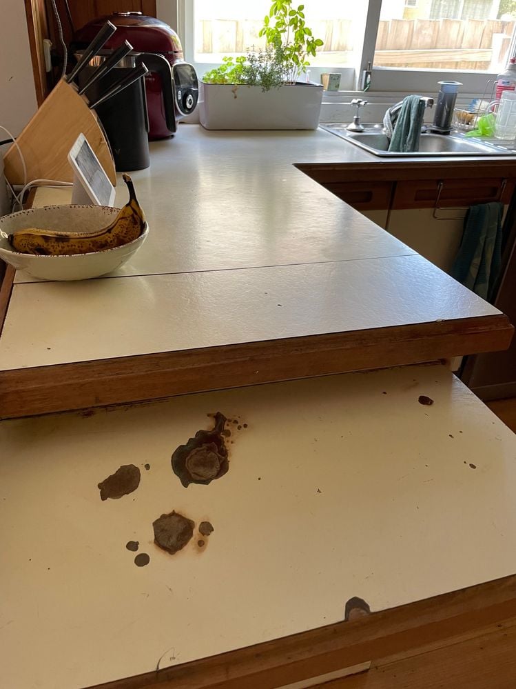 IMG_9367 copy2.jpg IMG_9367 copy2.jpg