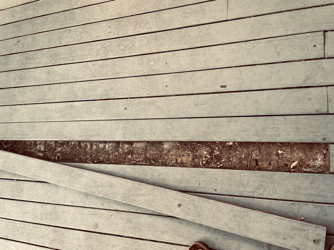 IMG_5832.jpeg IMG_5832.jpeg