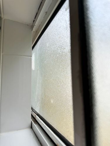 IMG_0315.jpeg IMG_0315.jpeg