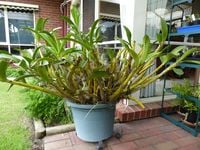 P1060487.JPG P1060487.JPG