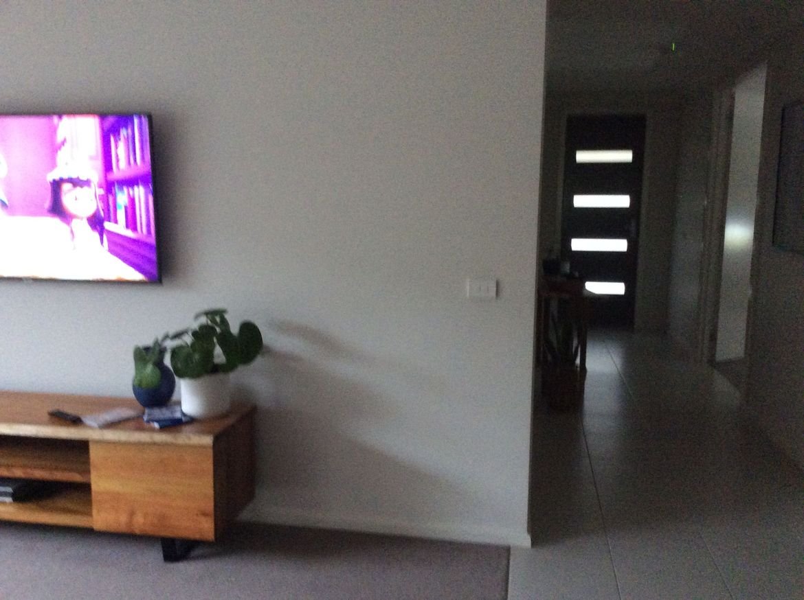 74107931-935A-46CC-B8D2-D0BFF8522CB1.jpeg 74107931-935A-46CC-B8D2-D0BFF8522CB1.jpeg