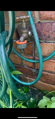 IMG_7549.png IMG_7549.png