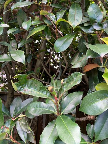 IMG_2253.jpeg IMG_2253.jpeg