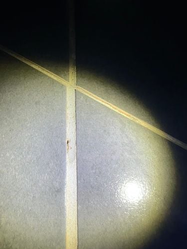 IMG_1170.jpeg IMG_1170.jpeg