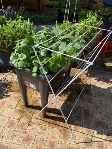 98592D81-2C85-411F-B072-37C93AB1CB70.jpeg 98592D81-2C85-411F-B072-37C93AB1CB70.jpeg