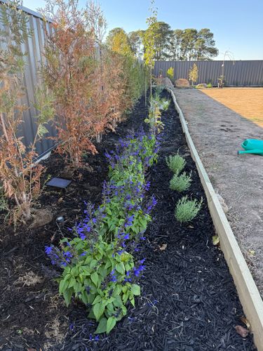 IMG_4382.jpeg IMG_4382.jpeg