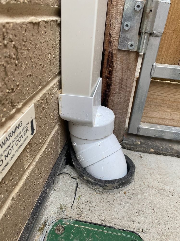 IMG_0338.JPEG IMG_0338.JPEG