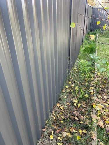 IMG_4222.jpeg IMG_4222.jpeg